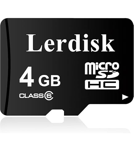 Amazon.com: Sandisk 4GB MicroSDHC Memory Card with SD Adapter